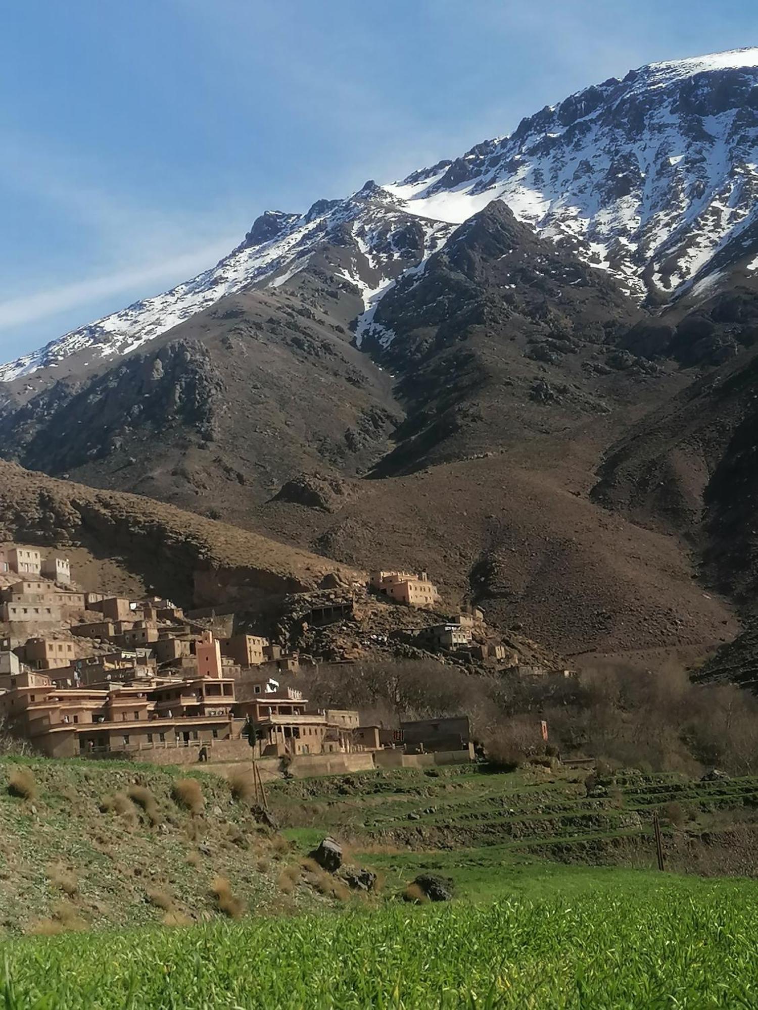Angour